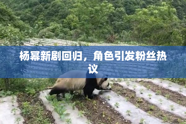 杨幂新剧回归，角色引发粉丝热议
