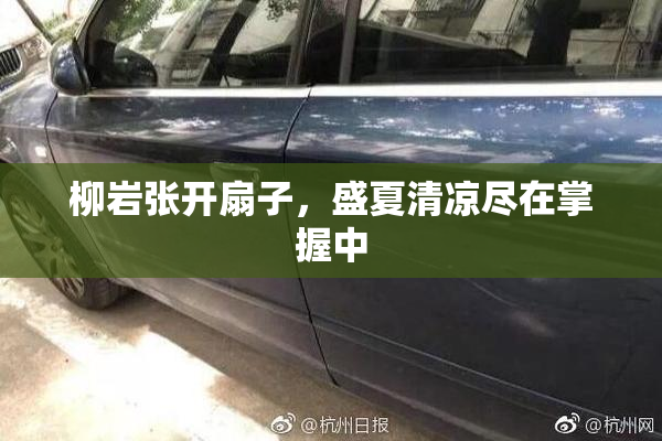 柳岩张开扇子，盛夏清凉尽在掌握中