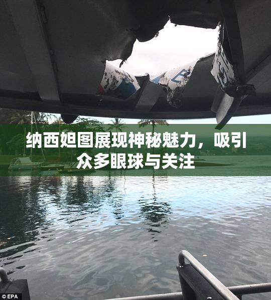 纳西妲图展现神秘魅力，吸引众多眼球与关注