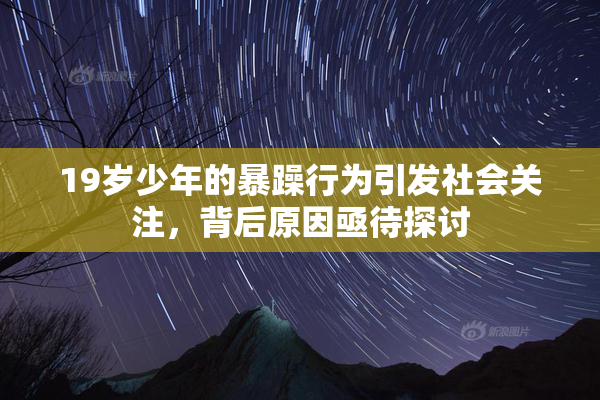 19岁少年的暴躁行为引发社会关注，背后原因亟待探讨