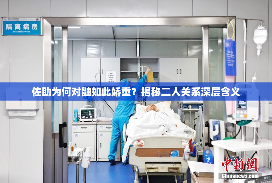 佐助为何对鼬如此娇重？揭秘二人关系深层含义