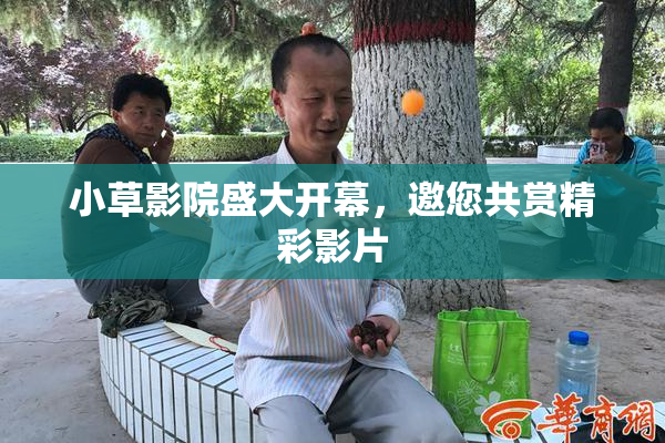 小草影院盛大开幕，邀您共赏精彩影片