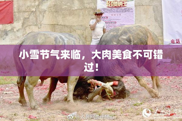 小雪节气来临，大肉美食不可错过！