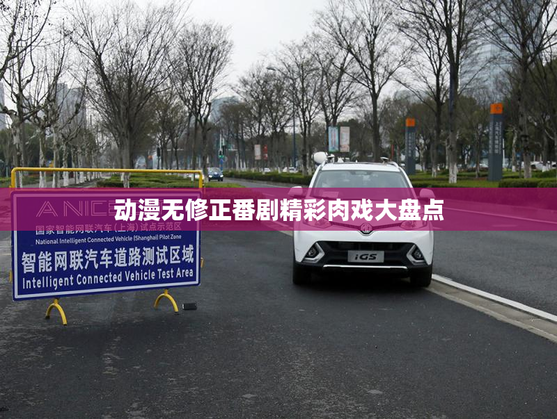 动漫无修正番剧精彩肉戏大盘点