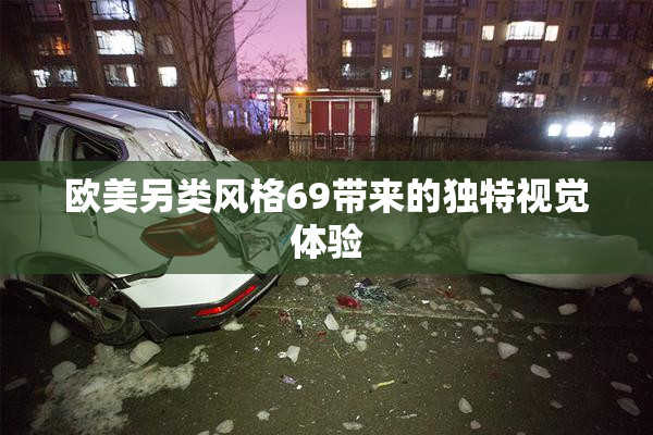 欧美另类风格69带来的独特视觉体验