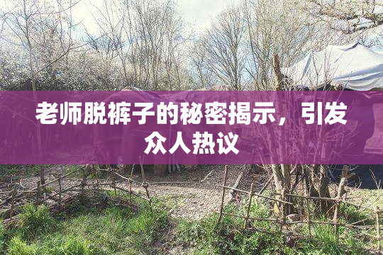 老师脱裤子的秘密揭示，引发众人热议