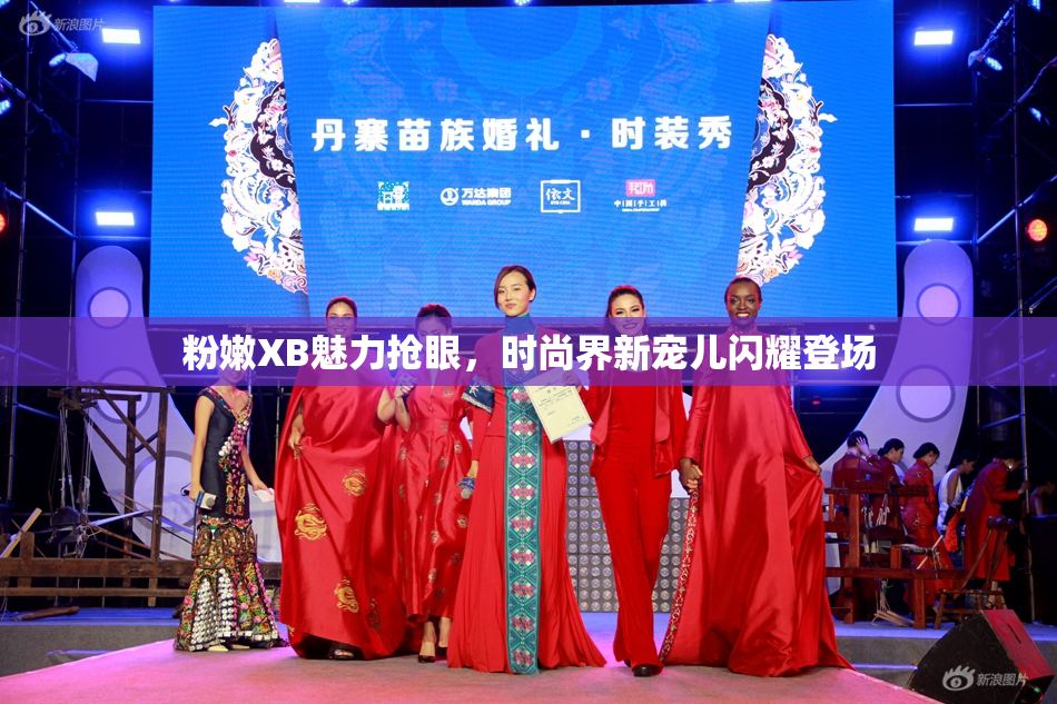 粉嫩XB魅力抢眼，时尚界新宠儿闪耀登场