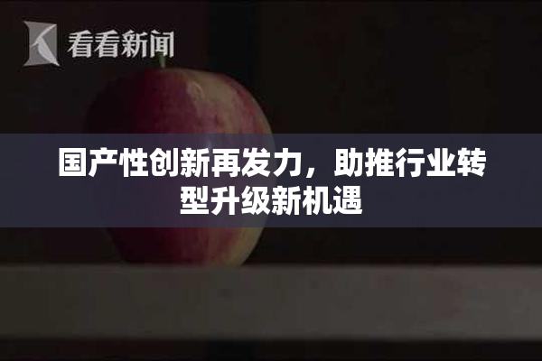 国产性创新再发力，助推行业转型升级新机遇