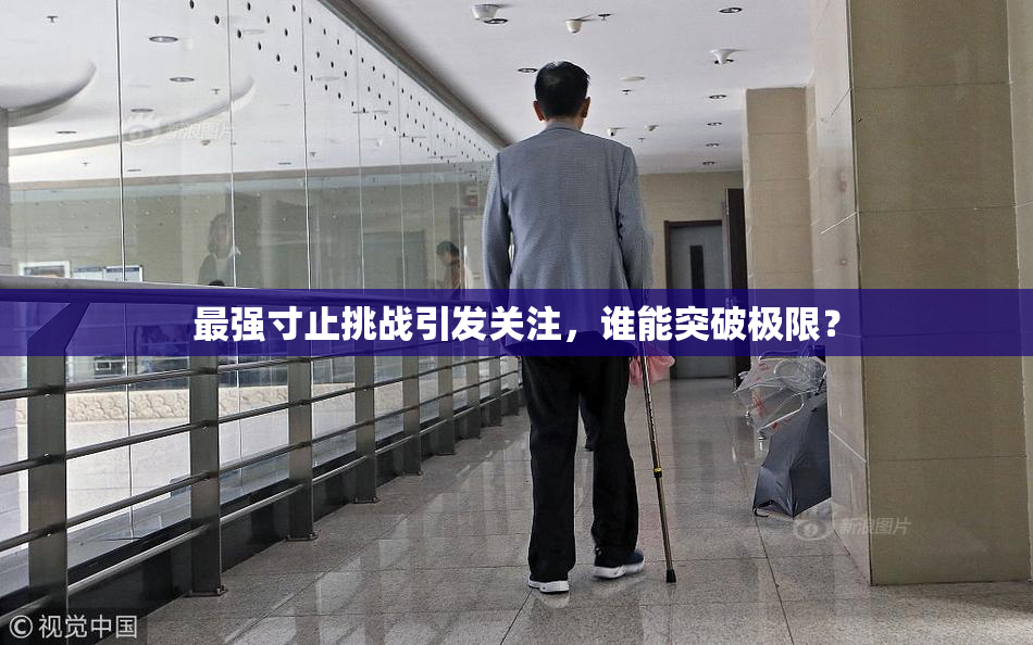 最强寸止挑战引发关注，谁能突破极限？