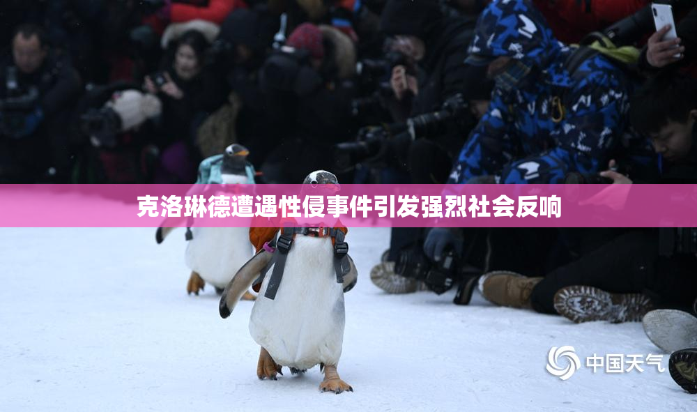克洛琳德遭遇性侵事件引发强烈社会反响