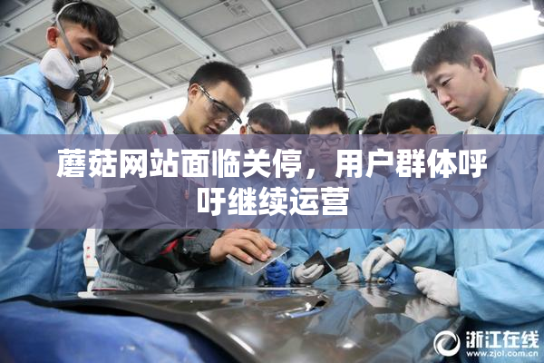 蘑菇网站面临关停，用户群体呼吁继续运营