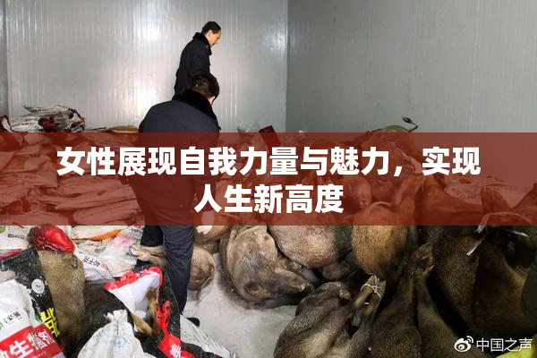 女性展现自我力量与魅力，实现人生新高度