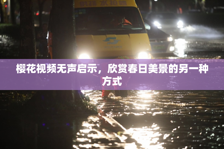樱花视频无声启示，欣赏春日美景的另一种方式