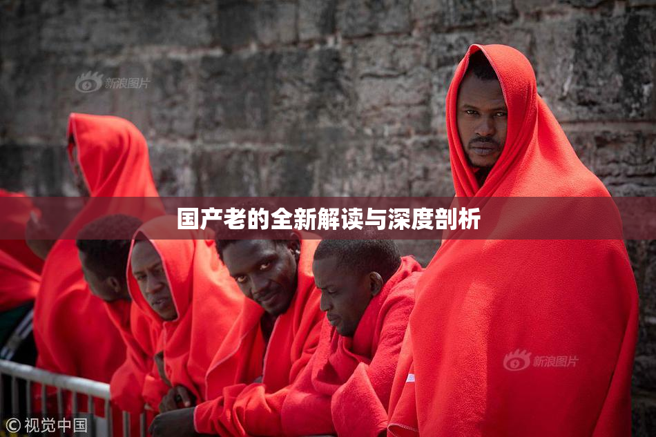 国产老的全新解读与深度剖析