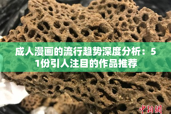 成人漫画的流行趋势深度分析：51份引人注目的作品推荐