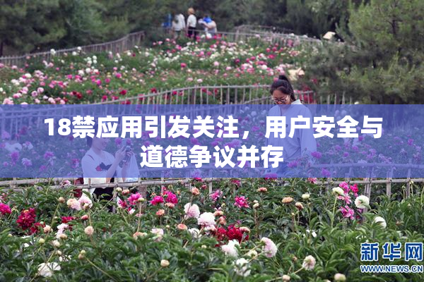 18禁应用引发关注，用户安全与道德争议并存