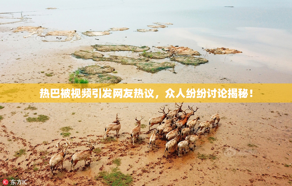 热巴被视频引发网友热议，众人纷纷讨论揭秘！