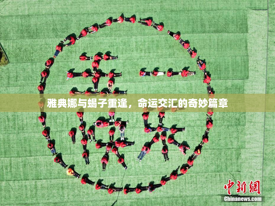 雅典娜与蝎子重逢，命运交汇的奇妙篇章