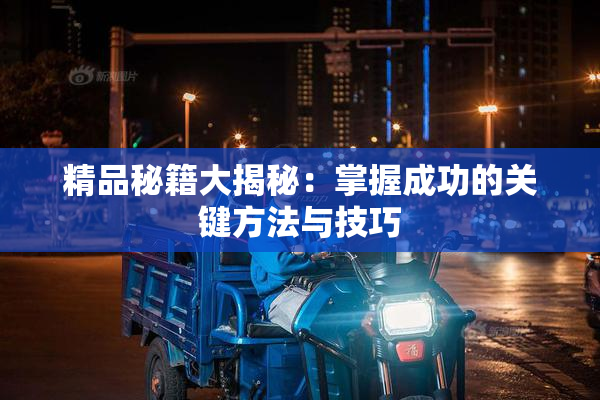 精品秘籍大揭秘：掌握成功的关键方法与技巧
