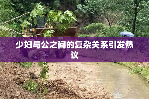 少妇与公之间的复杂关系引发热议