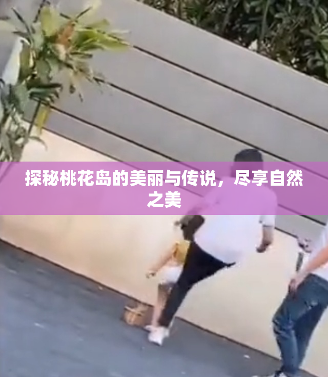 探秘桃花岛的美丽与传说，尽享自然之美
