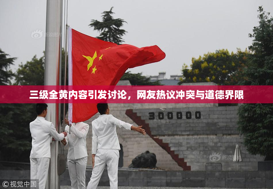 三级全黄内容引发讨论，网友热议冲突与道德界限