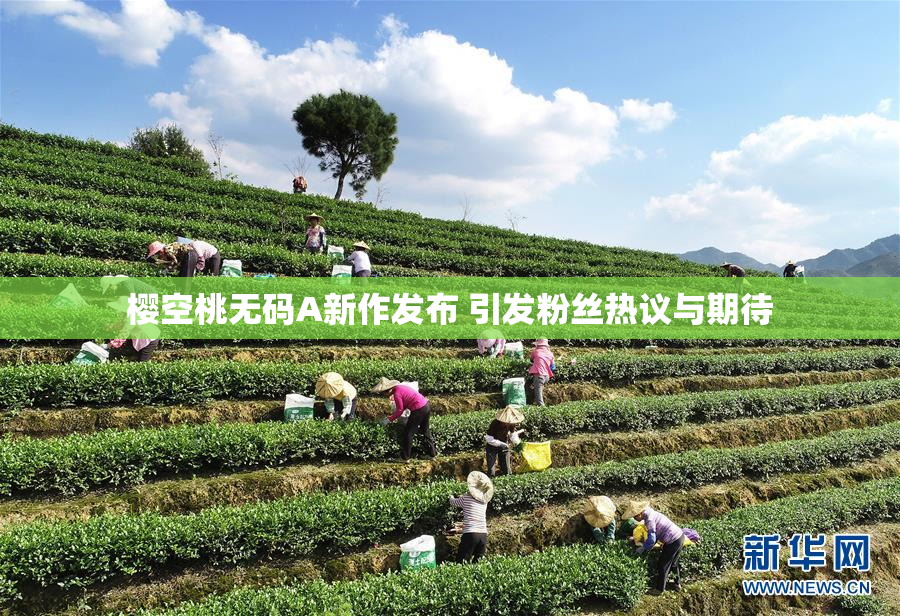 樱空桃无码A新作发布 引发粉丝热议与期待