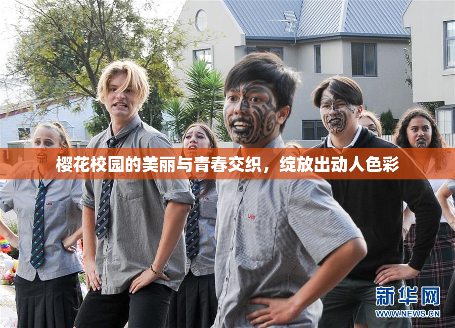 樱花校园的美丽与青春交织，绽放出动人色彩