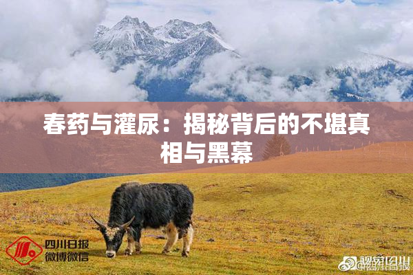 春药与灌尿：揭秘背后的不堪真相与黑幕