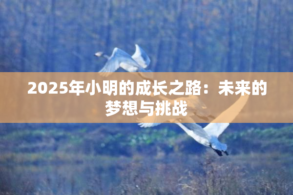 2025年小明的成长之路：未来的梦想与挑战