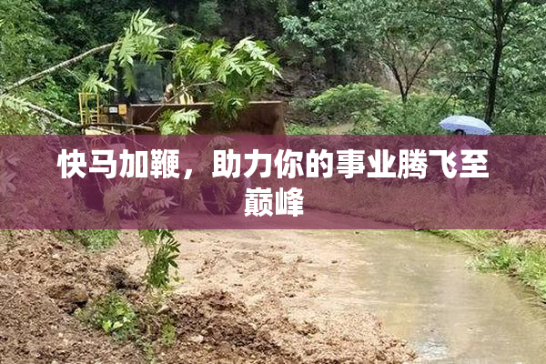 快马加鞭，助力你的事业腾飞至巅峰
