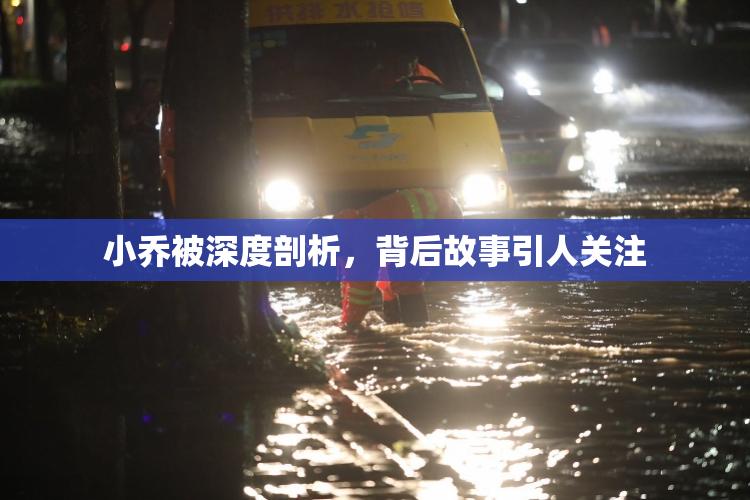 小乔被深度剖析，背后故事引人关注