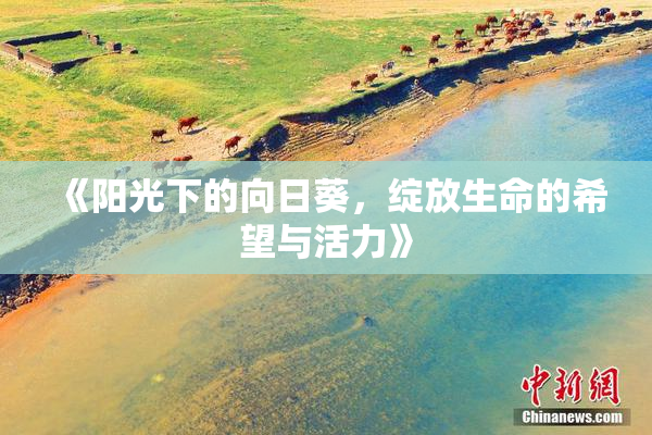 《阳光下的向日葵，绽放生命的希望与活力》