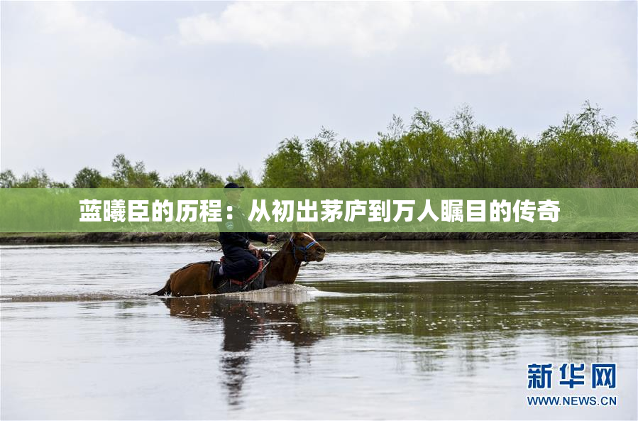 蓝曦臣的历程：从初出茅庐到万人瞩目的传奇