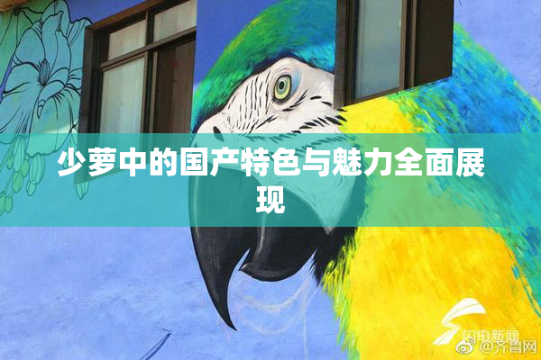 少萝中的国产特色与魅力全面展现