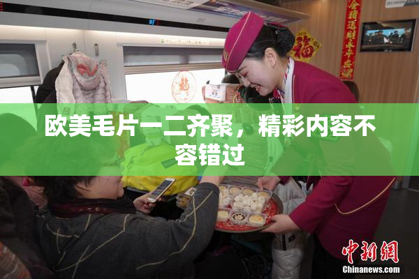 欧美毛片一二齐聚，精彩内容不容错过