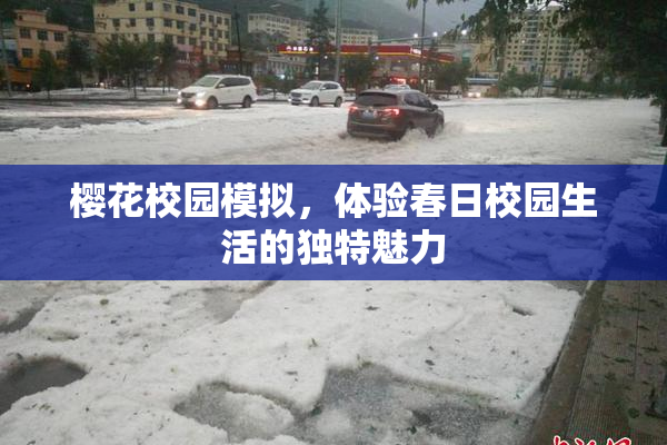 樱花校园模拟，体验春日校园生活的独特魅力
