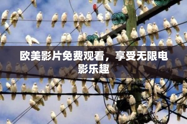 欧美影片免费观看，享受无限电影乐趣
