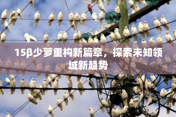 15β少萝重构新篇章，探索未知领域新趋势