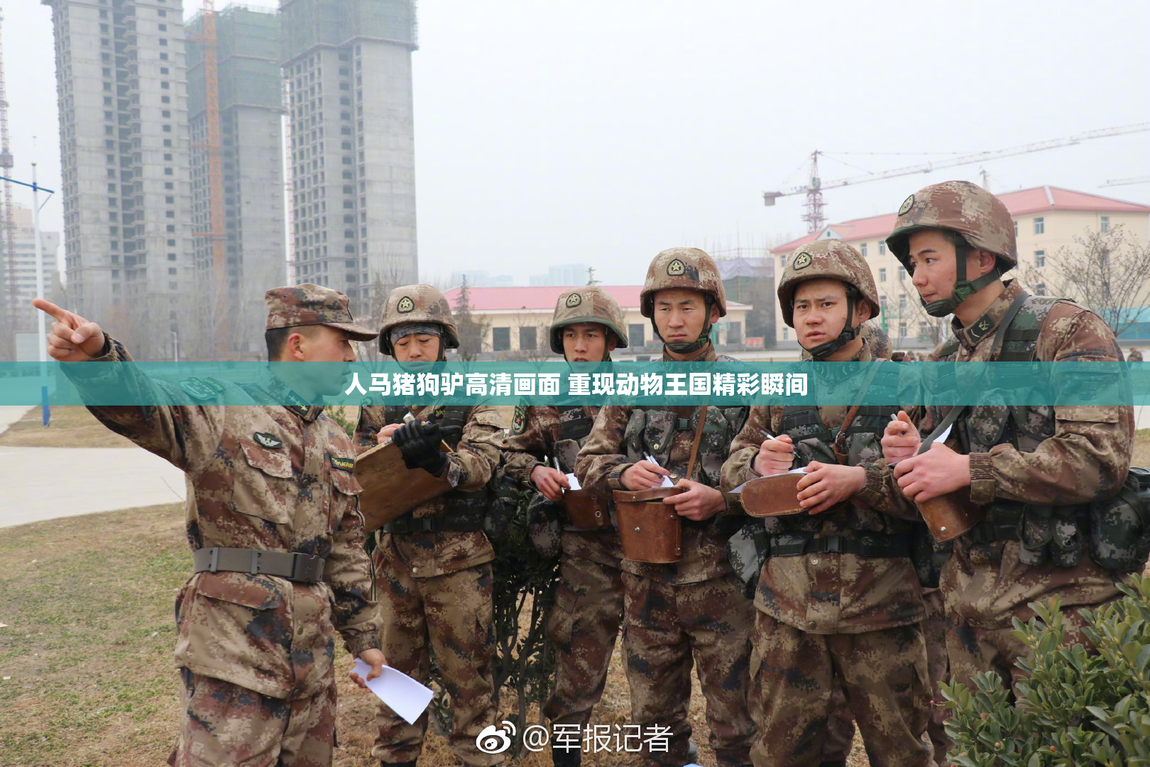 人马猪狗驴高清画面 重现动物王国精彩瞬间