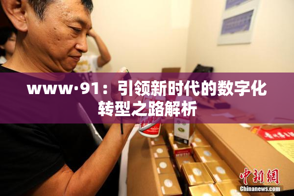 www·91：引领新时代的数字化转型之路解析