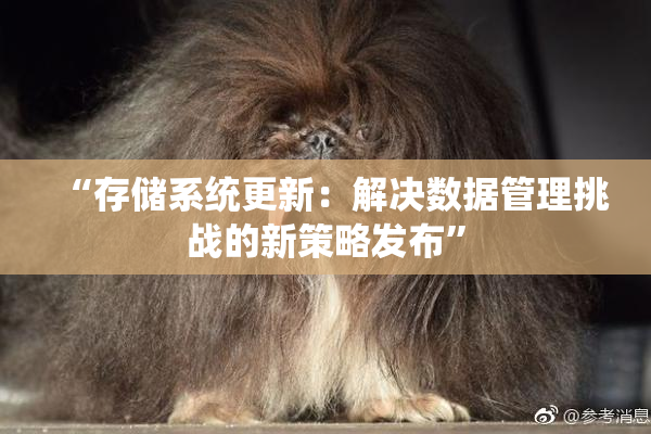 “存储系统更新：解决数据管理挑战的新策略发布”