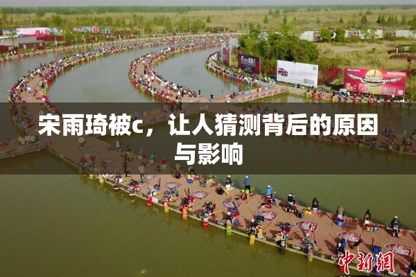 宋雨琦被c，让人猜测背后的原因与影响