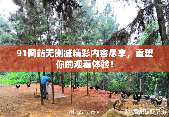 91网站无删减精彩内容尽享，重塑你的观看体验！