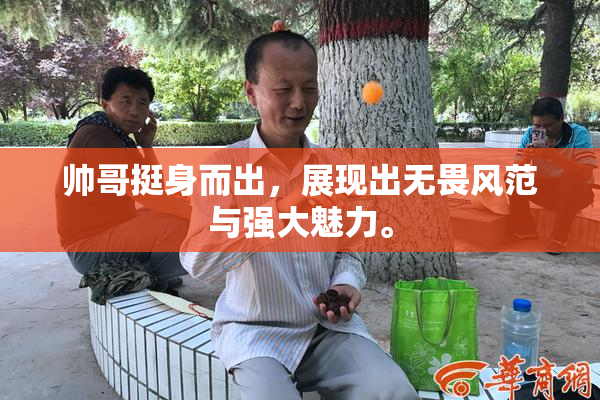 帅哥挺身而出，展现出无畏风范与强大魅力。