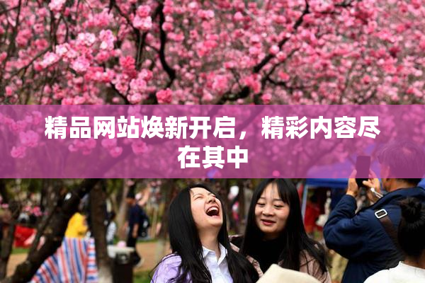 精品网站焕新开启，精彩内容尽在其中