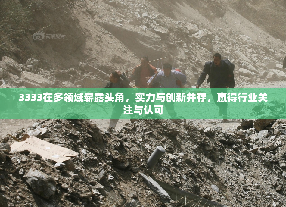 3333在多领域崭露头角，实力与创新并存，赢得行业关注与认可