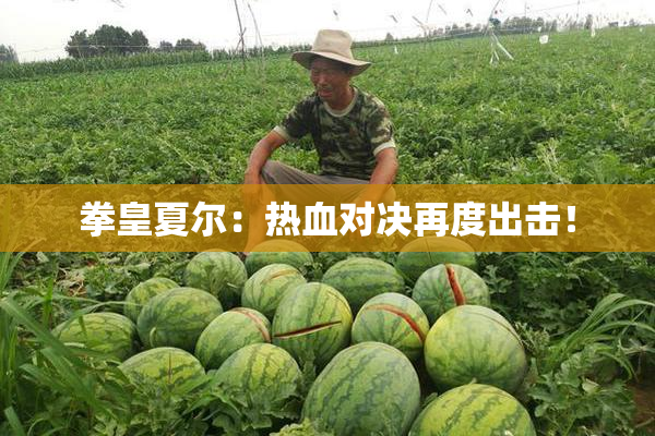 拳皇夏尔：热血对决再度出击！