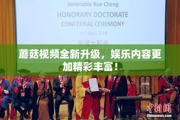 蘑菇视频全新升级，娱乐内容更加精彩丰富！