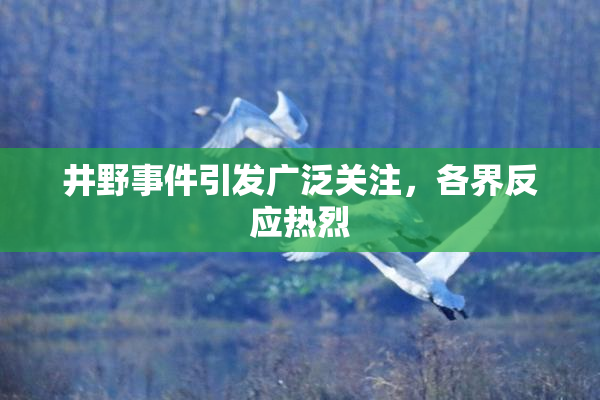 井野事件引发广泛关注，各界反应热烈